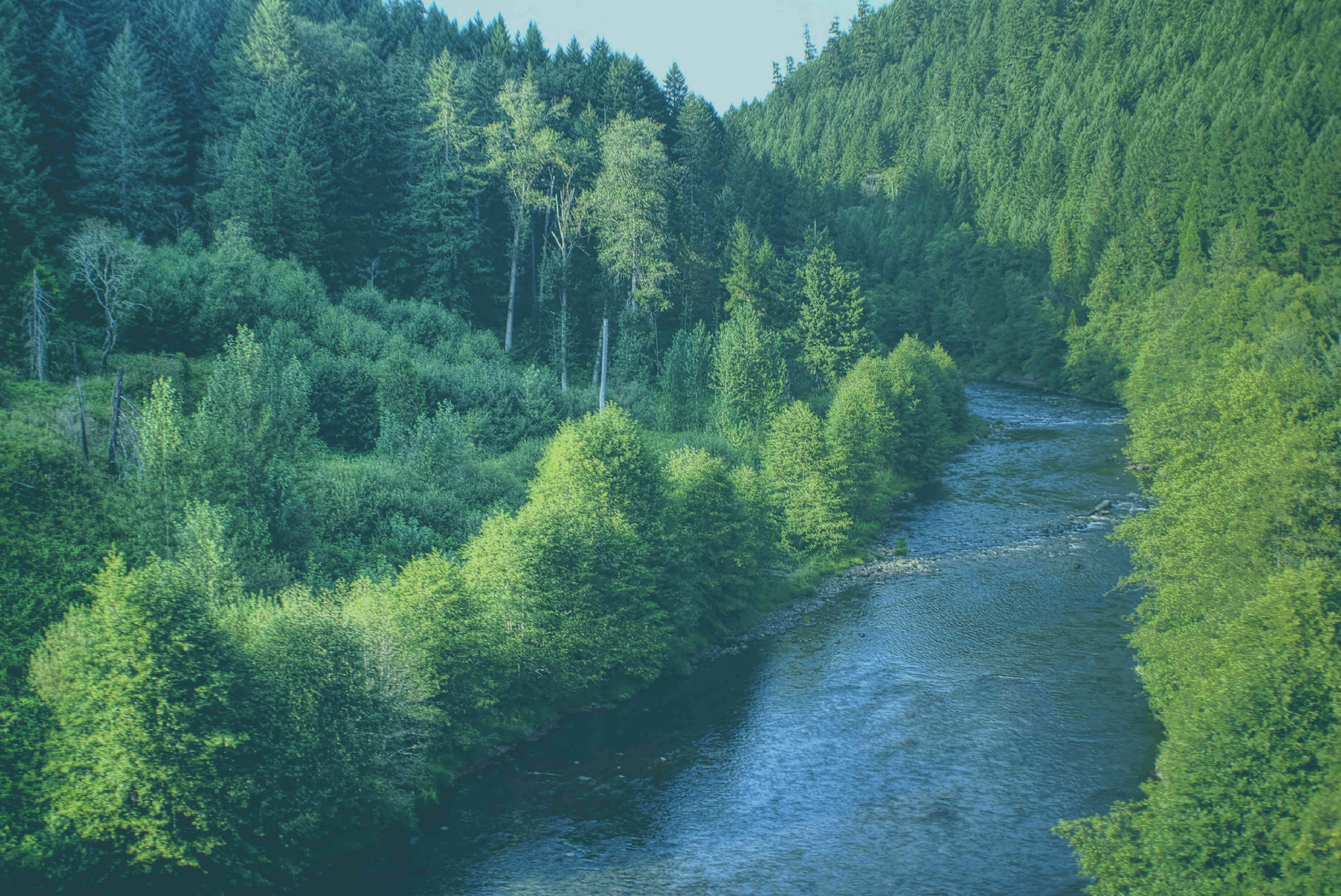 Orchid Health Fern Ridge Clinic